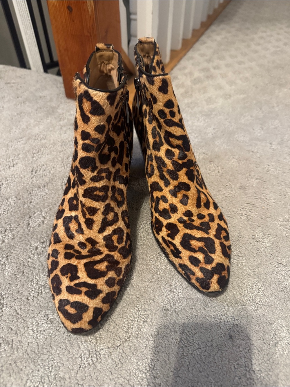 Franco Sarto Leopard Print Ankle Booties in Tan and Black